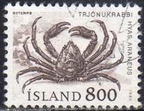 [Marine Life, 유형 OS]