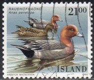[Birds - Ducks, type RP]
