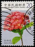 [Flowers, type DGR]