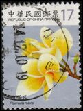 [Flowers, प्रकार DHY]