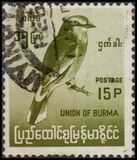 [Burmese Birds, type DJ2]