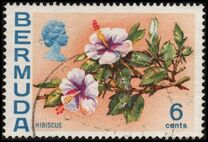 [Flowers, 類型 EG]
