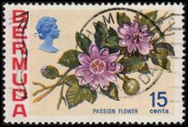 [Flowers, 類型 EK]