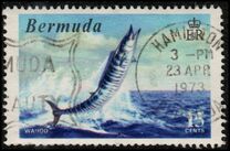 [World Fishing Records, type FN]