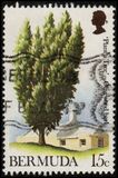 [Tree Planting Year, typ FS]