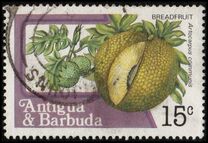 [Fruits and Flowers, type BZ]