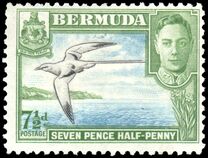 [Landscapes and King George VI, tip AL]