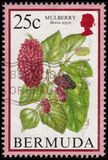 [Flowering Fruits, Tipi TV]