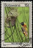 [Birds, type GW]