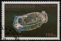 [Marine Life, tegund ES]