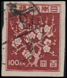 [Japanese Culture, type GK]