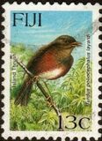 [Birds, type XL]