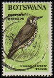 [Birds, type U]