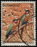 [Birds, Typ KO]