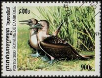 [Sea Birds, 类型 BTX]