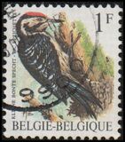 [Birds, نوع BNH]