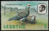 [Birds, Вид KX]