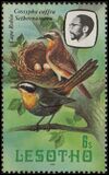 [Birds, Вид LA]