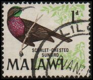 [Birds, type BK]
