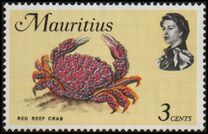 [Marine Life, タイプ EY]