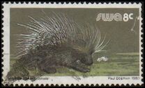 [Wild Mammals, type HP]