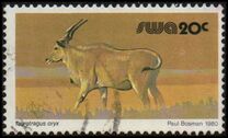 [Wild Mammals, Tipi HT]