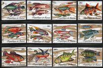[Fish, Вид KX]