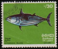 [Fish, type F]
