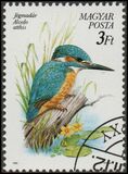 [Protected Birds, type ETS]