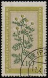 [Medicinal Plants, type OL]