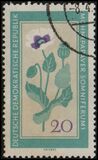 [Medicinal Plants, type ON]