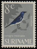 [Birds, Вид WI]