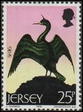 [Seabirds, тип CT]