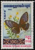 [Butterflies, type KG]