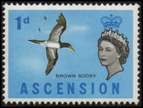 [Birds, type AK]