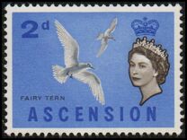 [Birds, type AM]