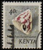 [Seashells, type AO]