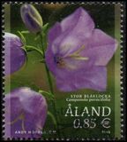 [Flowers - Peach-Leaved Bellflower, tip OJ]