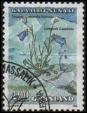 [Flowers -  Harebell, Greenland Marsh Tea and Lapland Cassiope, type EJ]