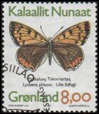 [Butterflies, タイプ IC]