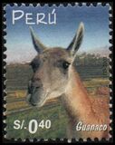[Llamas, type BAC]