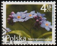 [Flowers and Fruits - Myosotis, type GFD]