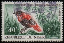 [Birds, type IP]
