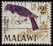[Birds, type BL]