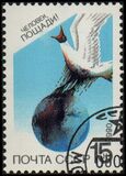 [Nature Conservation, Scrivi HJH]