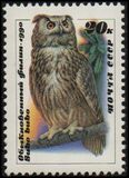 [Owls, type HKB]