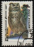 [Owls, type HKB]