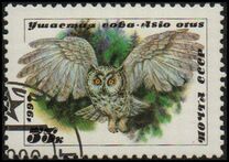 [Owls, type HKC]