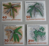 [Ferns, Вид AKL]