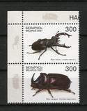 [Beetles, típus MS]